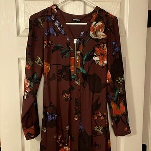 Express Shirt Dress